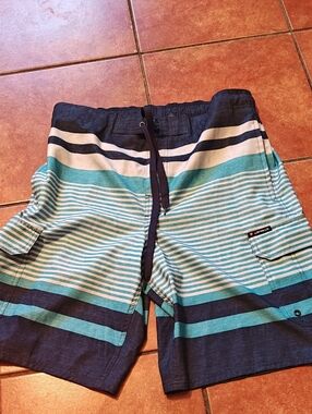 Airwalk Teal and Navy Striped Cargo Swim Shorts